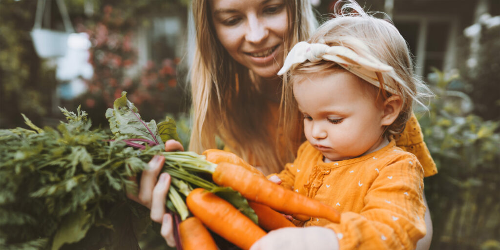 Édesanya az egészséges táplálkozás alapjaira oktatja kislányát miközben répát szednek